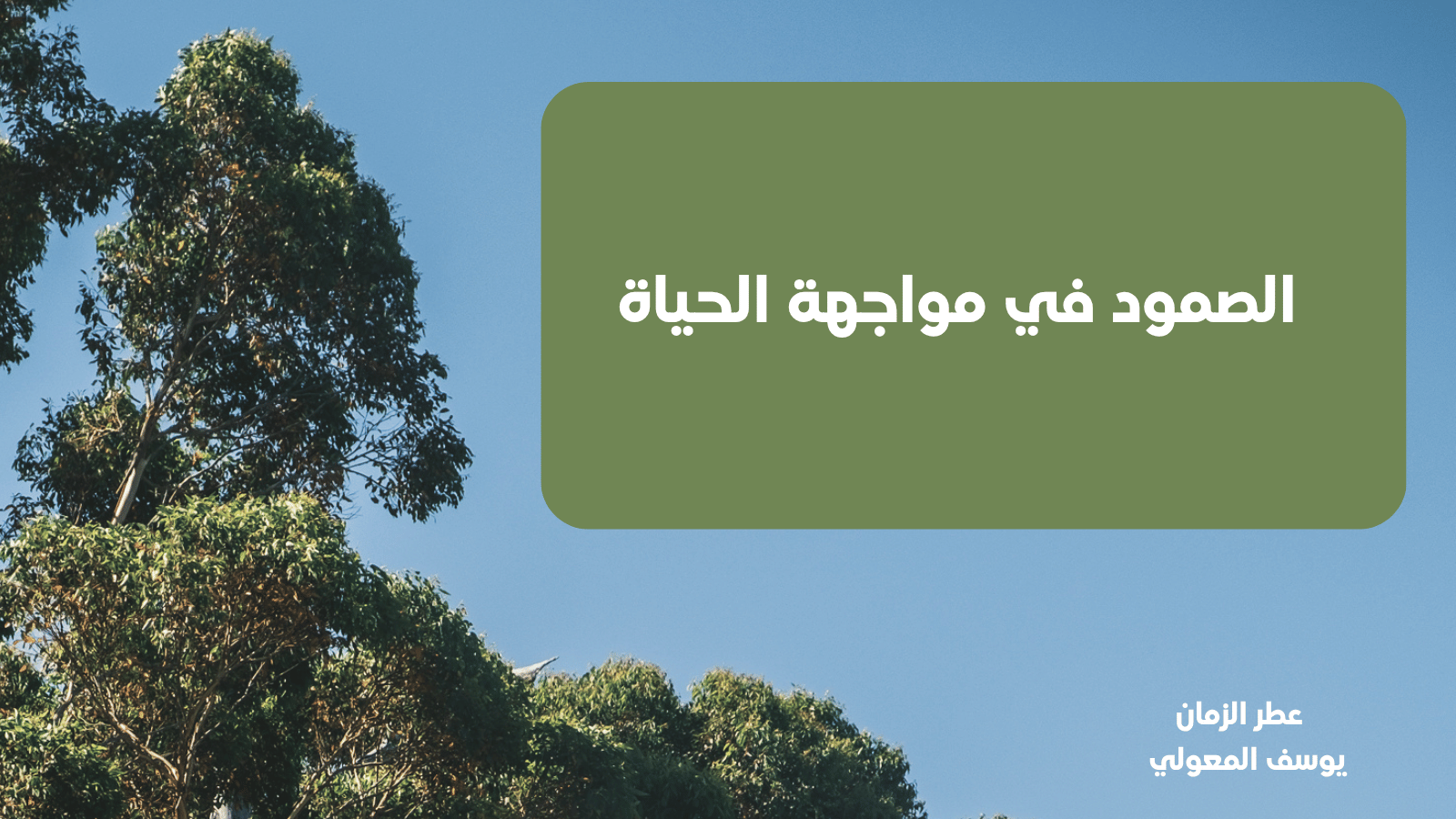 الصمود في مواجهة الحياة